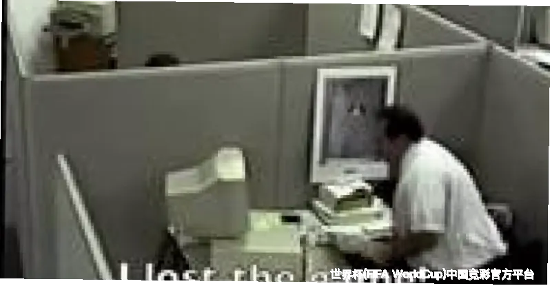 核心团队：数据与人文专家